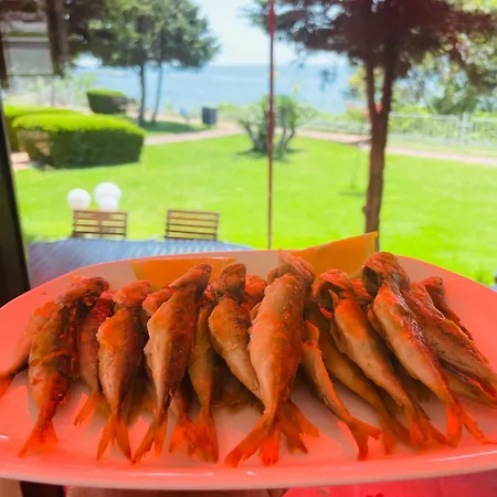 Sun Palace Апартаменти