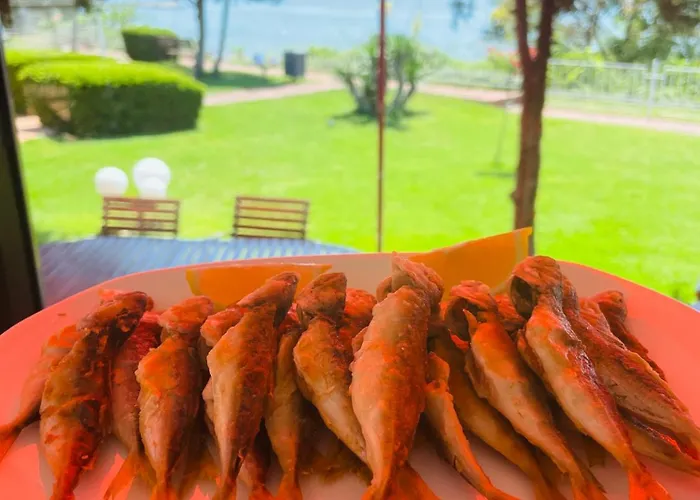 Sun Palace アパート